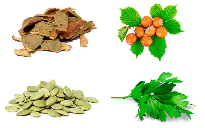 Remedios populares para combater a prostatite casca de álamo, sementes de cabaza, perexil e abelás.